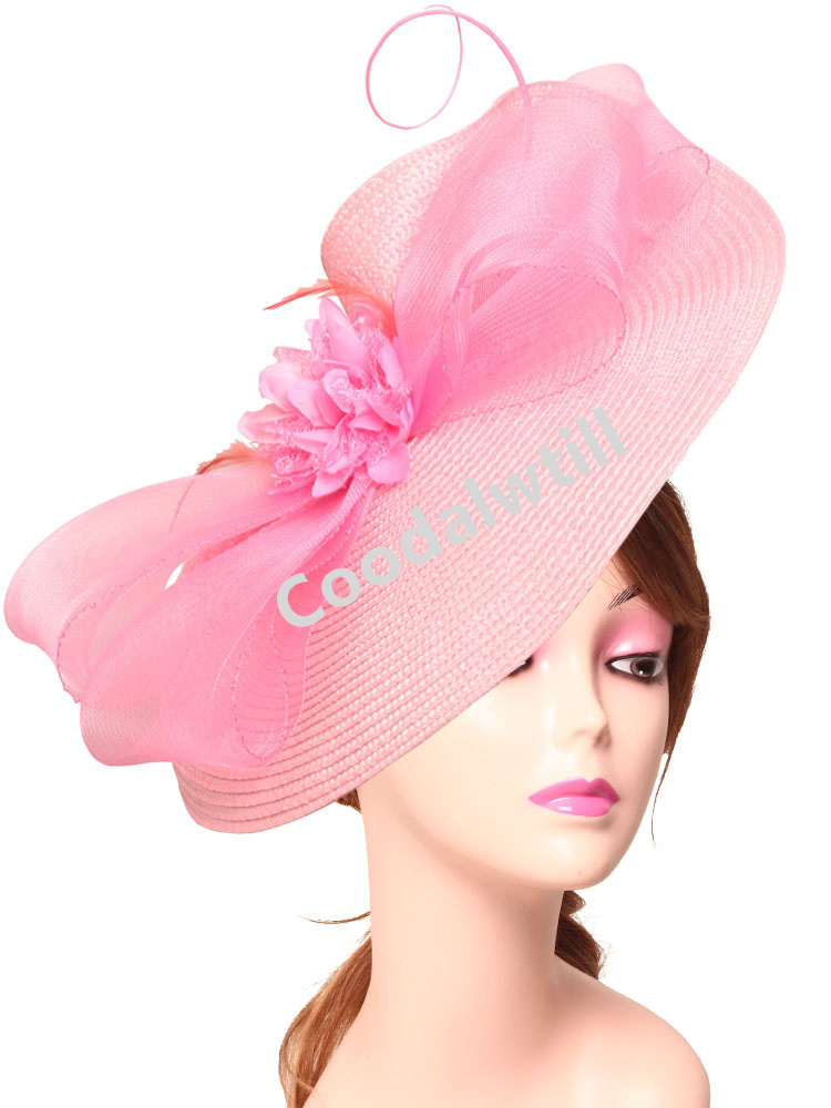Elegant Tea Party Fascinator P - Women'S Fashion Kentucky Derby 评论和价格