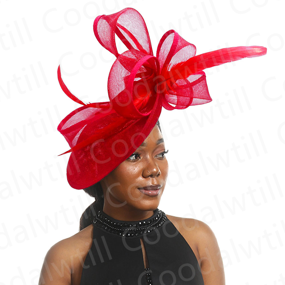 New Pillbox Fascinator Hat Wom - Women'S Fashion Kentucky Derby 评论和价格